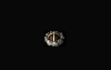 QQ截图20190314025224.png QQ截图20190314025224.png