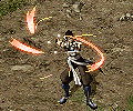 zf1.jpg