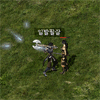 11.gif