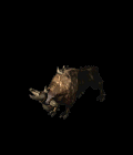 rhino_queen.gif rhino_queen.gif
