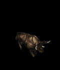 rhino_king.gif rhino_king.gif