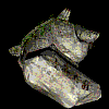 cho_suksang.gif cho_suksang.gif