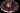 392.gif