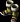 407.gif
