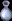 338.gif