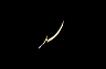 weapon15.gif